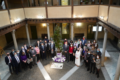 Acto institucional en la Diputación de Segovia contra la violencia de género | ICAL