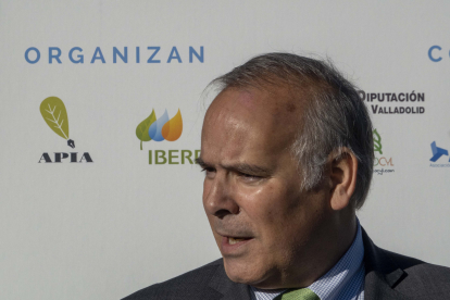El CEO de Iberdrola España, Mario Ruiz-Tagle inauguran la jornada 'Las energías limpias: un futuro sostenible'. ICAL