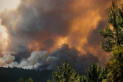 Medios aéreos y de tierra de Castilla y León colaboran en la extinción del incendio forestal declarado en Las Hurdes y la Sierra de Gata (Cáceres), muy cerca de la provincia de Salamanca. -ICAL