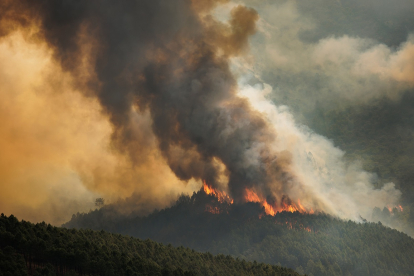 Medios aéreos y de tierra de Castilla y León colaboran en la extinción del incendio forestal declarado en Las Hurdes y la Sierra de Gata (Cáceres), muy cerca de la provincia de Salamanca. -ICAL