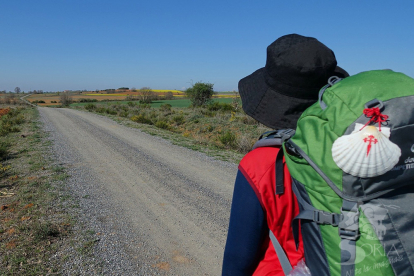 Un peregrino transita, mochila en la espalda, por uno de los caminos de tierra que recorren la provincia de Soria.- TURISMOSORIA