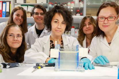 Investigadores en las instalaciones del Instituto de Biología y Genética Molecular de Valladolid (J. M. LOSTAU)