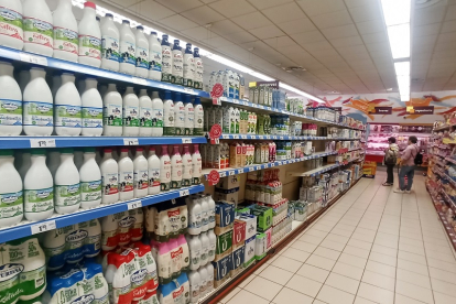 Pasillo de un supermercado de Ponferrada con plena disponibilidad de productos lácteos.- ICAL