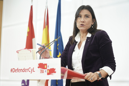La secretaria de Organización del Partido Socialista de Castilla y León, Ana Sánchez, esta mañana en la rueda de prensa. / ICAL