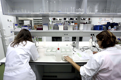 Dos investigadoras en un laboratorio de Castilla y León.-ICAL