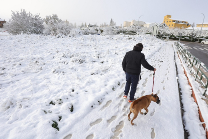 Una persona camina con su perro por de las calles nevadas de Guijuelo.- ICAL