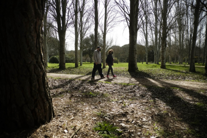 Francisco Sánchez y Teresa Carrascal dan un paseo por un parque de Salamanca. | ENRIQUE CARRASCAL