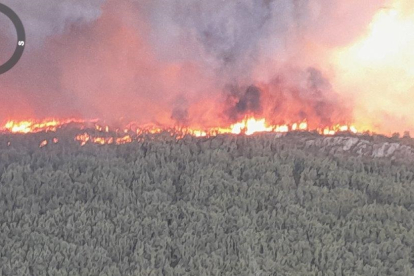 Incendio de Losacio en la zona de Ferreras de Abajo. - E. M.