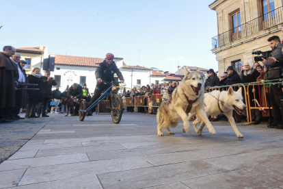 Bendición de animales en León con motivo de la festividad de San Antón.-ICAL.