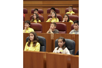 Pleno infantil de Aldeas Infantiles SOS en las Cortes de Castilla y León. / ICAL