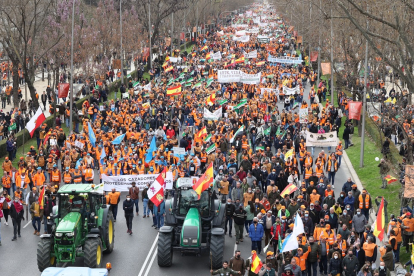 Manifestación '20M rural. Juntos por el campo'.- ICAL