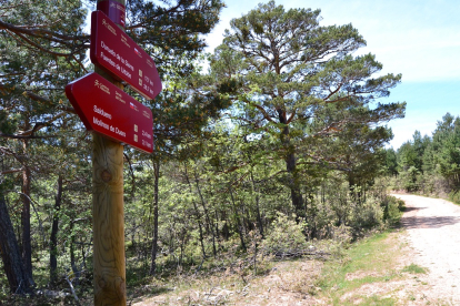 Indicaciones verticales de la Senda del Duero, en un tramo de la provincia de Soria.- FDMESCYL
