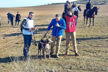 La galga 'Leyenda de Retumba' en la tercera jornada del Nacional de Galgos en Nava del Rey. -FEDERACIÓN ESPAÑOLA DE GALGOS