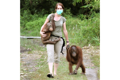 Karmele Llano, veterinaria formada en la ULE, premiada por su trabajo de conservación de los orangutanes. ICAL.