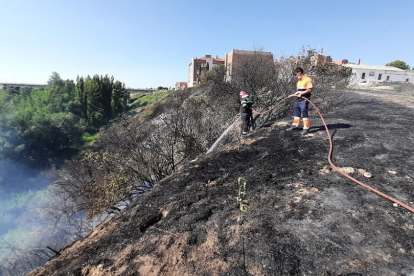 Incendio declarado en la zona del puente de Los Lobos, en Arévalo (Ávila). - ICAL