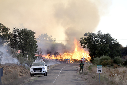 Incendio forestal en la localidad zamorana de Losacio, el pasado julio.- ICAL