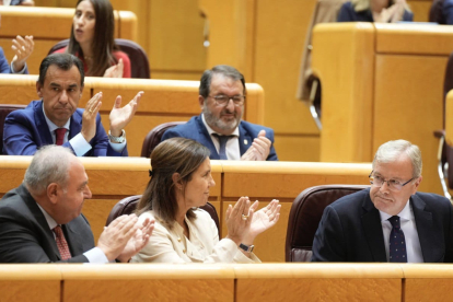 Intervención de Antonio Silván en el Senado para presentar una moción del PP contra la amnistía. E.M.