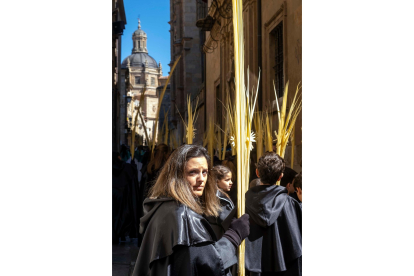 Procesión del Domingo de Ramos en Salamanca.- ICAL