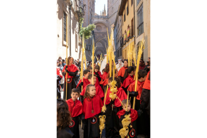 Procesión del Domingo de Ramos en Salamanca.- ICAL