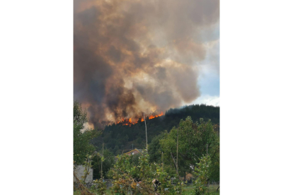 Incendio en las inmediaciones de Vega de Espinareda. E.M.
