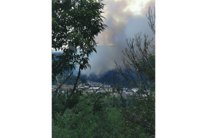 Incendio en las inmediaciones de Vega de Espinareda