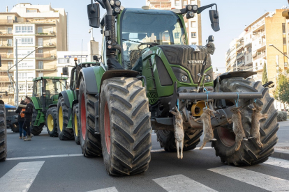 Un tractor con conejos colgados durante una protesta convocada por sindicatos agrarios para pedir medidas contra la plaga de conejos.- EUROPA PRESS