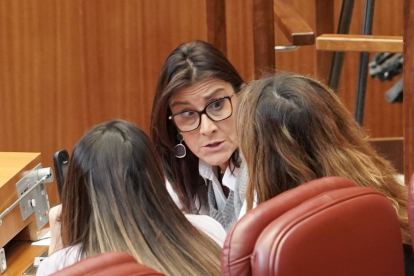 La procuradora del Grupo Parlamentario Socialista, Ana Sánchez.- ICAL