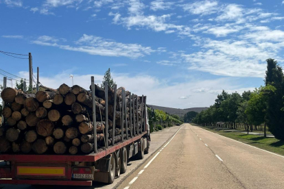 Los camiones cargados de madera quemada circulan continuamente en los pueblos de la Sierra de la Culebra. A. CALVO