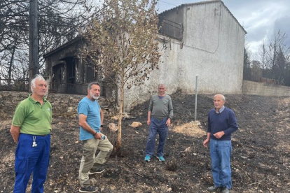 Ángel, Isidro, Alberto y Olegario,  en junio de 2022, junto a una de las casas quemadas en Otero de Bodas.-A. CALVO