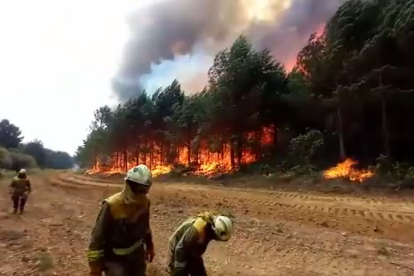 Profesionales de las brigadas contra los incendios a pocos metros de un bosque ardiendo en la Sierra de la Culebra en junio de 2022. - E. M.