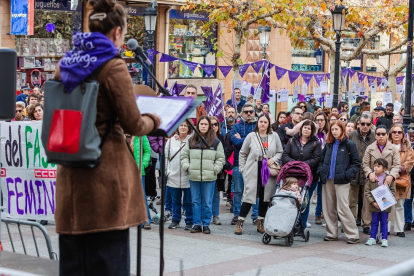 Manifestación en Soria por el día para la Erradicación de la Violencia contra la Mujer. -ICAL.