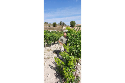 Alfonso Velasco, de Bodegas El Inicio, posa en uno de sus viñedos en Ribera del Duero. / ECB