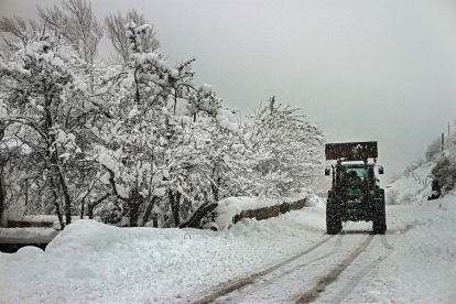 La nieve cubre la comarca de Los Argüellos (León).- ICAL