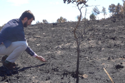 El vicepresidente de la Junta, Juan García-Gallardo, visita la zona afectada por los incendios de la Sierra de la Culebra.- E. M.