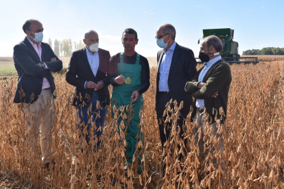 El consejero Jesús Julio Carnero, segundo por la izquierda, en una plantación de soja en Arabayona de Mógica. - EUROPA PRESS
