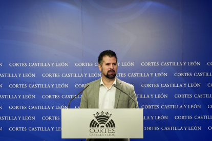 El secretario general del PSOE en la Comunidad, Luis Tudanca. / D.V.