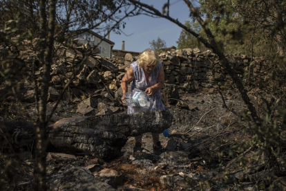 Una mujer echa agua en una zona vegetal afectada por el incendio de Losacio. - E. PRESS
