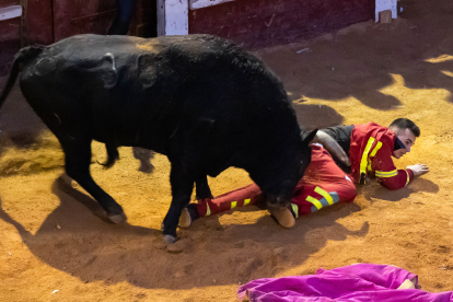 Cogida en la capea de la tarde en el Carnaval del Toro de Ciudad Rodrigo