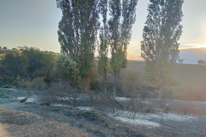 Imagen de archivo de un incendio de Castilla y León