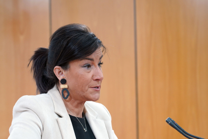 La secretaria de Organización del PSOECyL, Ana Sánchez, durante la rueda de prensa. ICAL