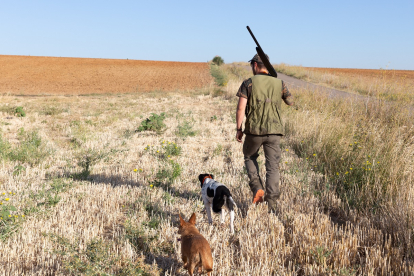 Un cazador de Castilla y León acompañado por sus dos perros.- ICAL