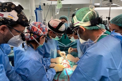 Una bebé de 13 meses de Segovia, primer caso en el mundo de trasplante de intestino tras donación en asistolia. Ical