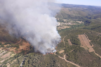 Incendio en Portugal próximo a Zamora. - E. PRESS