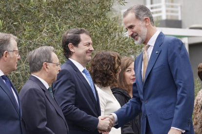 Alfonso Fernández Mañueco saluda a Su Majestad el Rey don Felipe.- ICAL