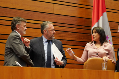 Francisco Váquez (PP), Carlos Pollán (VOX) y Ana Sánchez (PSOE), en una imagen de archivo durante un pleno de las Cortes de Castilla y León.-ICAL