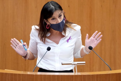 La procuradora socialista Ana Sánchez en una sesión del Pleno en las Cortes. / ICAL.