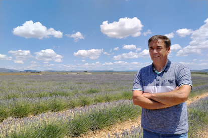 Miguel Cebrecos es el jefe de cultivos de 2.200 hectáreas en Caleruega. ECB