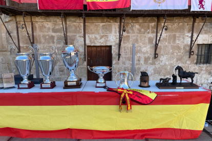 Final del Campeonato de España Galgos en Campo Copa Su Majestad el Rey, celebrado en Nava del Rey (Valladolid).- E.M.
