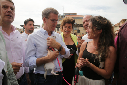 El presidente del PP, y candidato a la presidencia del Gobierno, Alberto Núñez Feijóo, en un acto en Corrales del Vino, Zamora. ICAL