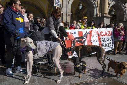 Manifestación en Salamanca contra el maltrato de galgos en la caza. - ICAL